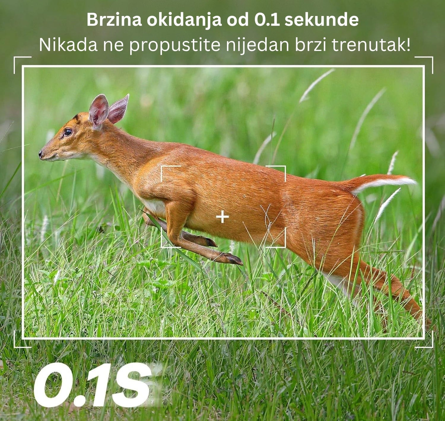 KAMERA ZA LOV
